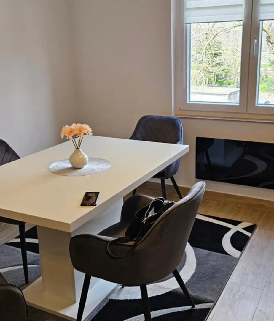 Apartment Apartman Skyfall Rijeka Croatia