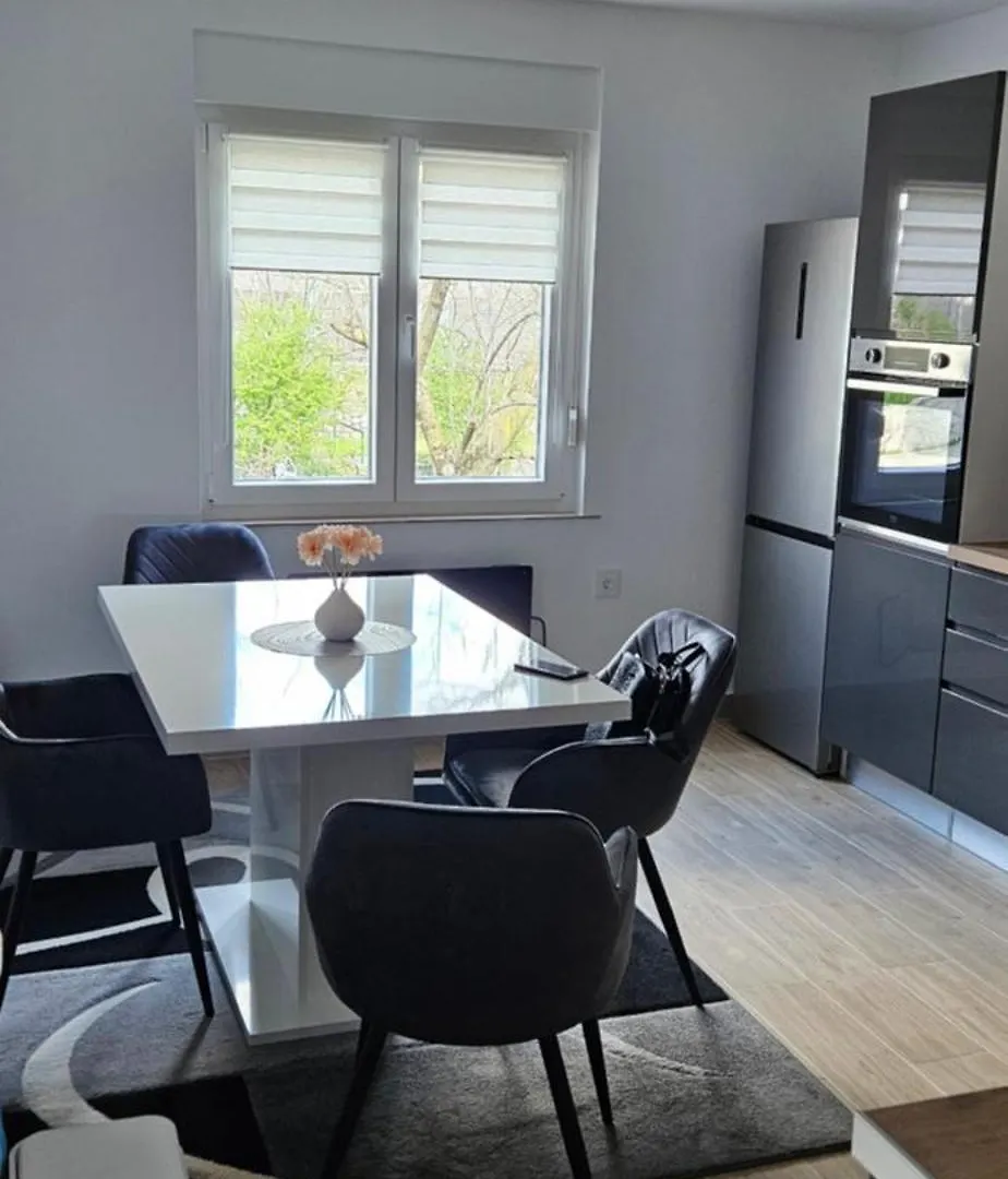 Apartment Apartman Skyfall Rijeka
